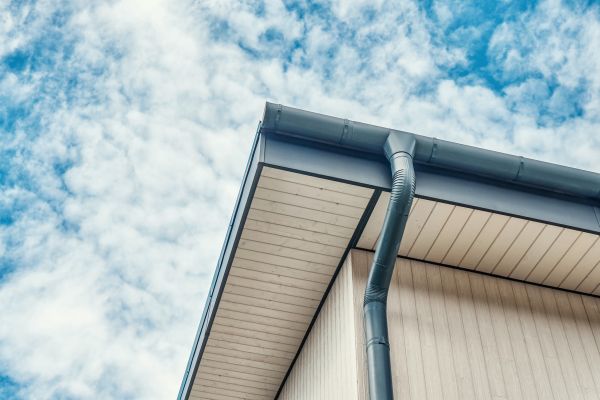 Gutter Fascia Repair in Madison