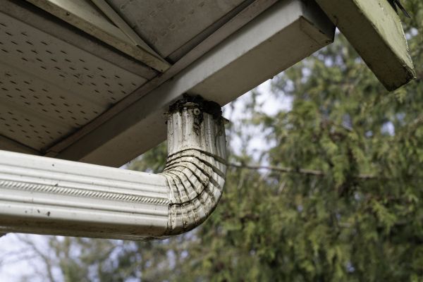 Cost of Roof Drain Replacement in Madison