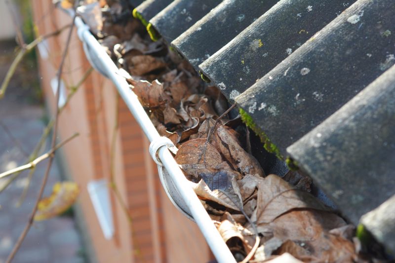 Clogged Gutter Debris