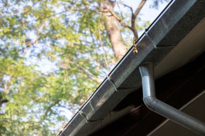 Gutter Cleaning Preparation